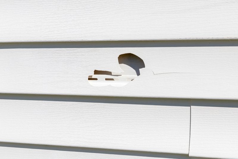 Vinyl Siding Patch Work
